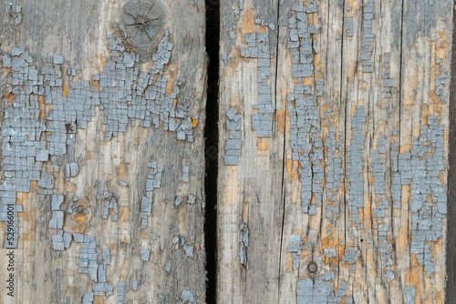 Background, texture of old boards with traces of cracked blue paint