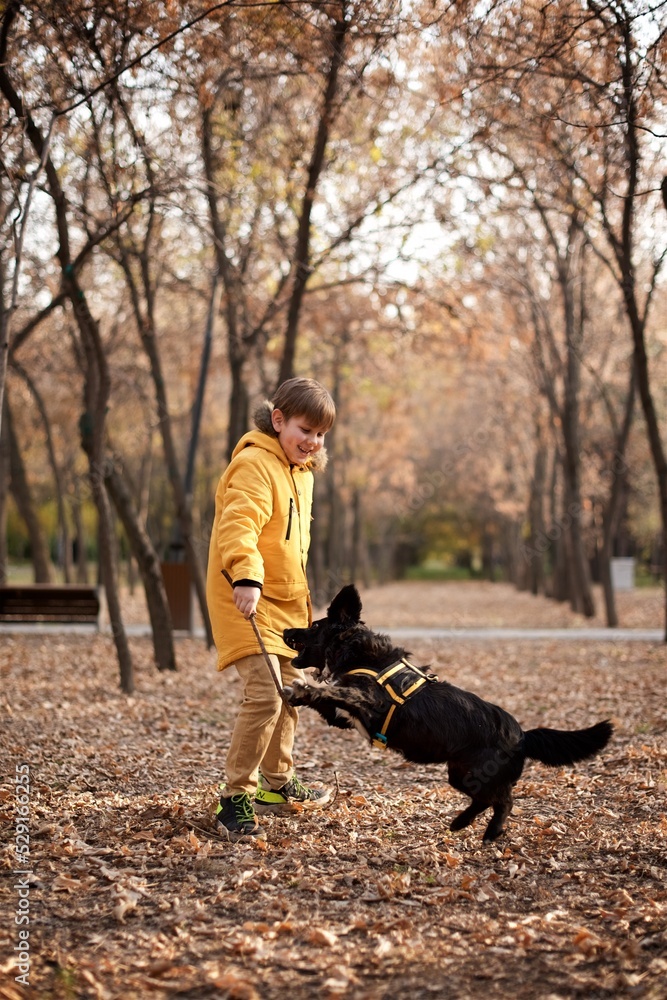 Very smiling young European boy seven years old in the brown pants and yellow jacket is playing with the black dog in the autumn park