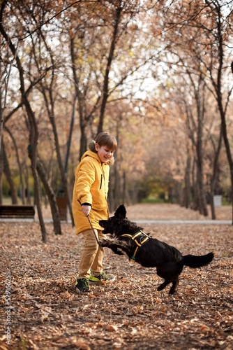 Very smiling young European boy seven years old in the brown pants and yellow jacket is playing with the black dog in the autumn park