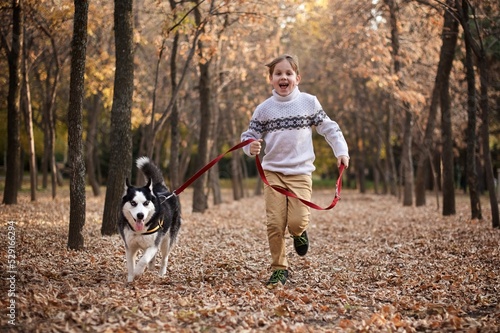 Young boy in the warm white sweater is walking the beautiful husky dog in the autumn park © Marina Seagull