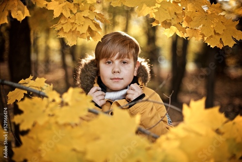 Very smiling boy seven years old in the yellow jacket is standing in the autumn park behind the yellow maple leaves