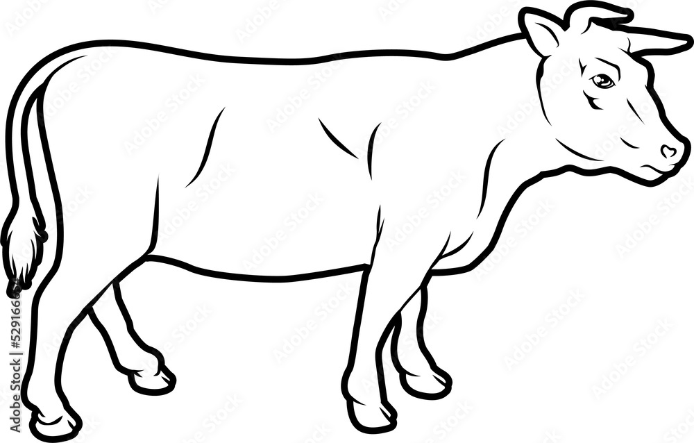 Fototapeta premium An illustration of a cow, could be a label for beef