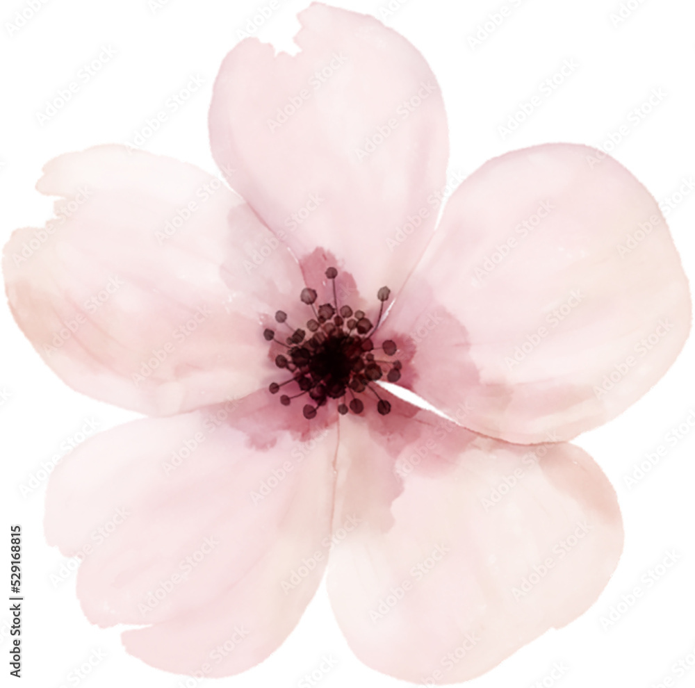 Naklejka premium Watercolor Flowers Elements