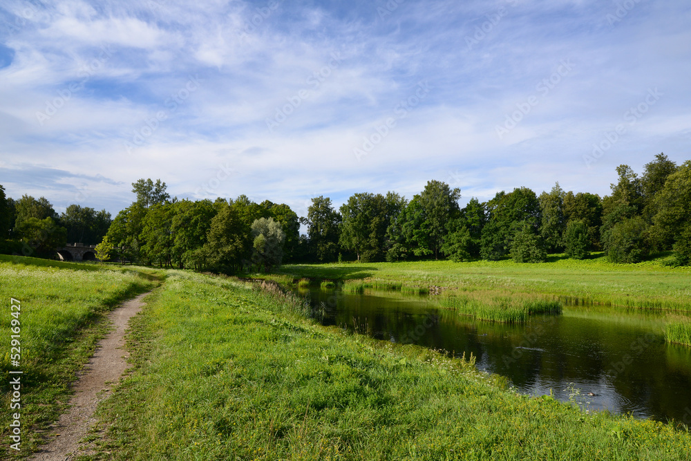 Beautiful nature landscape with a river or pond, a green summer flowering meadow and wildflowers. Pavlovsky park valley of the Slavyanka River Beautiful nature landscape with a river or pond, a green summer flowering meadow and wildflowers. Pavlovsky park valley of the Slavyanka River