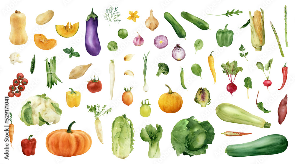 Watecolor hand-drawn vegetables set illustrations. Veggies collection icons. Vegetarian organic food art. Gardening set. Painted cooking ingredients isolated on transparent background. Harvest season - obrazy, fototapety, plakaty 