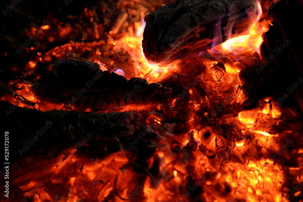 FEUER COMPANY visual data 5