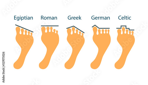 Anatomical shape of human toes. Footprint set. Humor illustration, isolated on white background, flat design photo