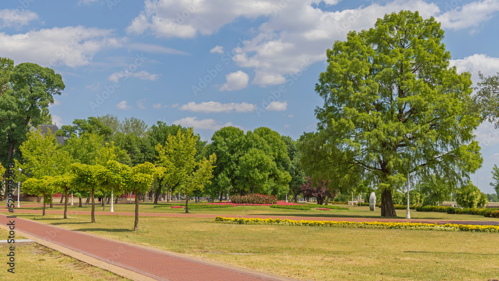 Palic Park Panorama