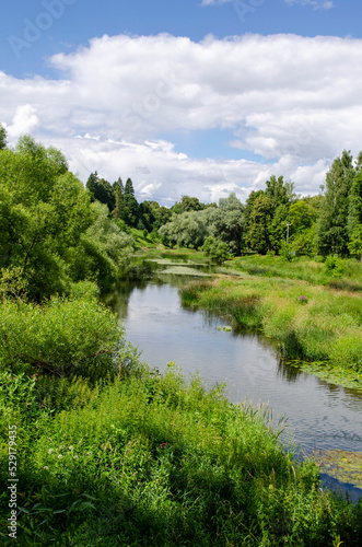 Beautiful view of the small river in a sunny day © Svetlana