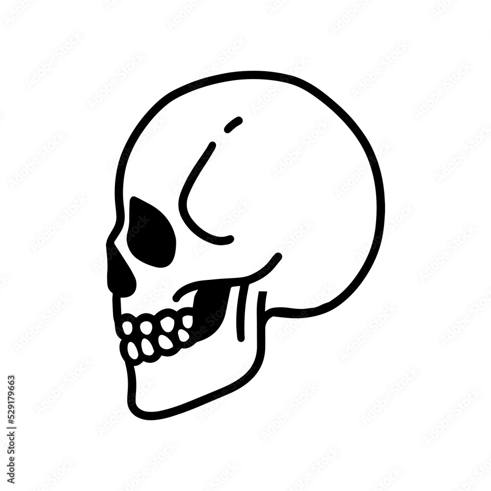 skull - line art illustration skull - line art illustration