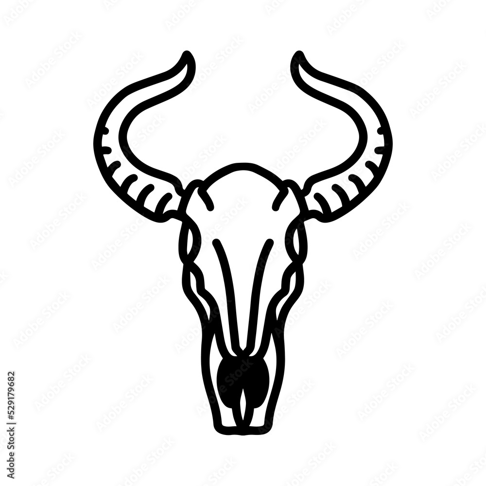 Fototapeta premium skull - line art illustration