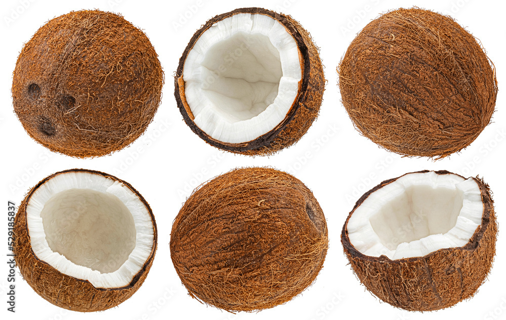 Coconuts isolated on white background Coconuts isolated on white background
