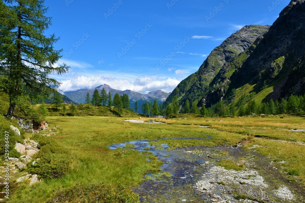 Stream of water flowing through an alpine meadow at Gradenmoos basin in Gradental valley in Schober group sub-range of Hohe Tauern in Central Eastern Alps, Carinthia, Austria and Stanziwurten mountain