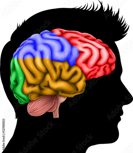Conceptual illustration of a mans head in silhouette profile with brain.