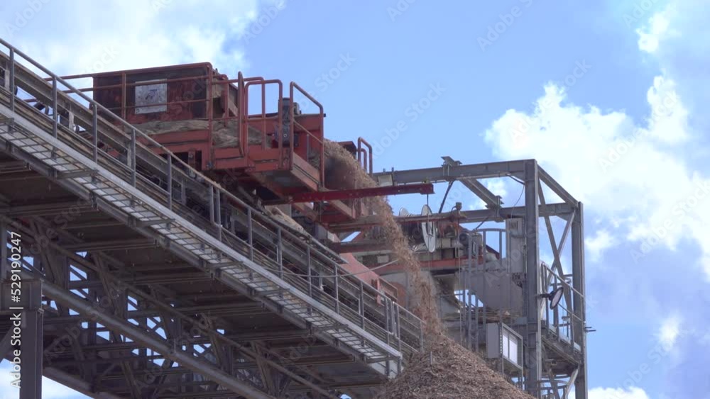 Industrial production of chipped wood scraps. Woodworking plant for sawdust. wood shredding, shavings Industrial production of chipped wood scraps. Woodworking plant for sawdust. wood shredding, shavings