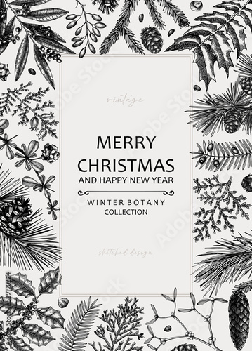 Merry Christmas card. Square frame with evergreen plants, conifers, and nuts drawing. Winter design with hand-drawn botanical illustrations. Christmas background, New Year invitation template