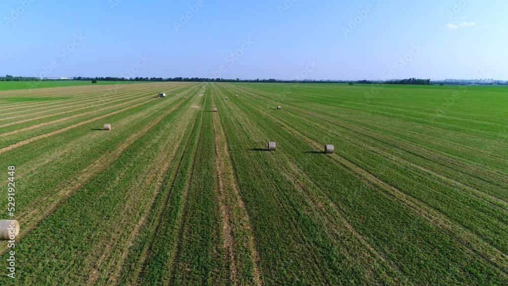 Harvesting hay in the field, aerial view. Large green meadow and tractor, agriculture Harvesting hay in the field, aerial view. Large green meadow and tractor, agriculture
