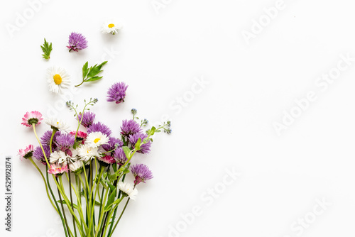 Summer wild meadow field blooming plans. Floral background with flowers and herbs
