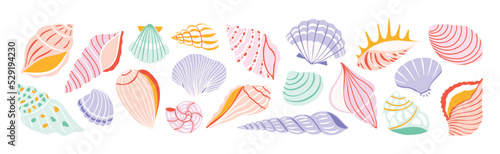 Collection of seashell illustrations in pastel colors. Vector flat illustration