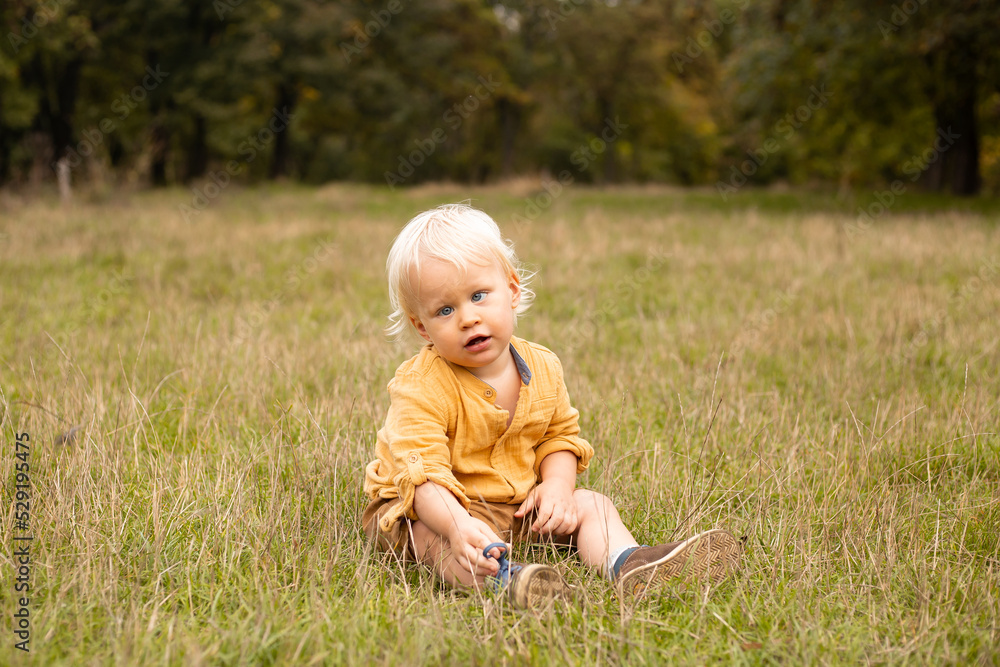 baby boy sitting in meadow in grass in autumn forest background with golden trees baby boy sitting in meadow in grass in autumn forest background with golden trees
