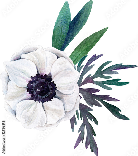 Slika na platnu White anemone with leaves, Watercolor floral arrangement