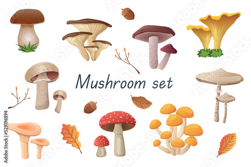 Mushrooms 3d realistic set. Bundle of cep, russula, golden chanterelle, champignon, boletus, fly agaric, oyster mushrooms and other edible or non-edible fungus isolated elements.Vector illustration