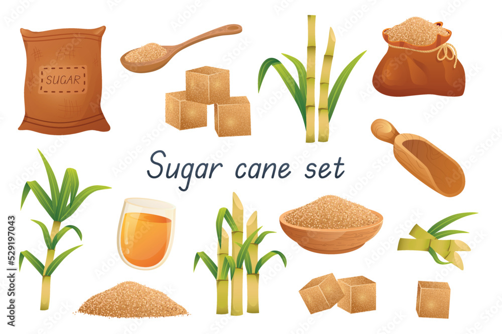 Sugar cane 3d realistic set. Bundle of bags, sugar cubes, granular  sweetener on spoon or plate, sugarcane leaf plants, rum alcoholic liquid in  glass and other isolated elements.Vector illustration Stock ベクター