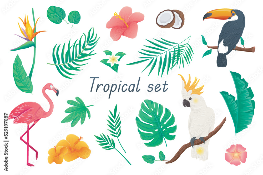 Fototapeta premium Tropical 3d realistic set. Bundle of colorful flowers and palms or monstera leaves, hibiscus, coconut, toucan, cockatoo parrot, flamingo and other exotic jungle isolated elements.Vector illustration