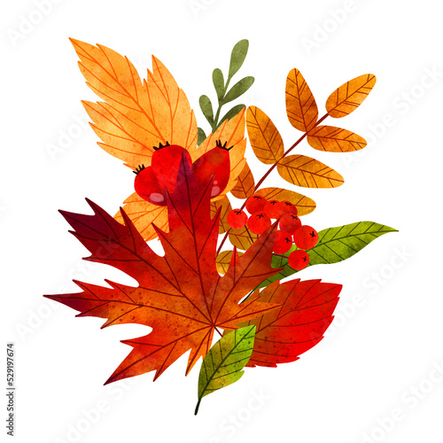 Fototapeta Naklejka Na Ścianę i Meble -  Lush autumn leaves bouquet, hand drawn watercolor