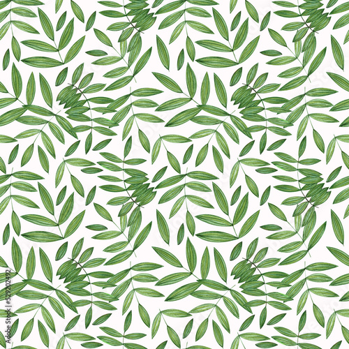 Watercolor seamless pattern with leaves Tropical print