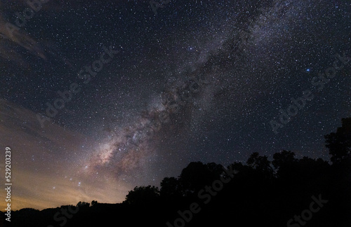 milky way in night time of August with dark shadow of tree in forest. image with high noise grain and very soft focus blurred.