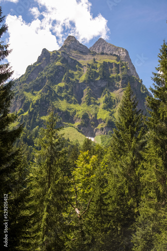 mountain in the mountains of Glarus. Gross Aubrig