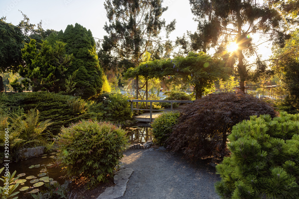 Japanese Garden in Esquimalt Gorge Park, Victoria, Vancouver Island, British Columbia, Canada. Sunny Summer Sunset.