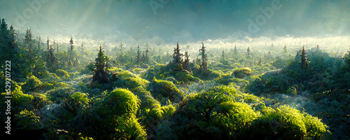 wild fairytale forest at dawn with hills and fog in the background