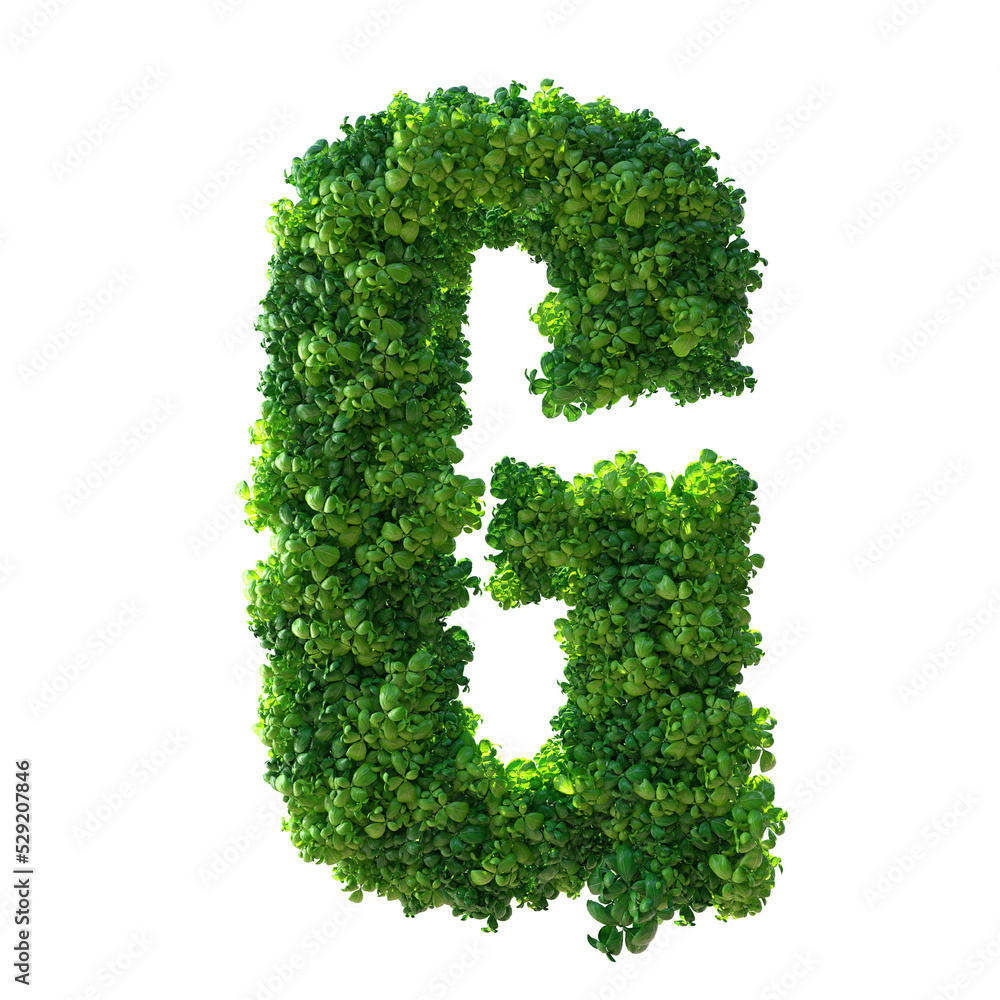 3d alphabet letter G. Green plant, leaves, grass, moss, basil, mint. Isolated on a white background with Clipping Path. 3d illustration. 3d alphabet letter G. Green plant, leaves, grass, moss, basil, mint. Isolated on a white background with Clipping Path. 3d illustration.