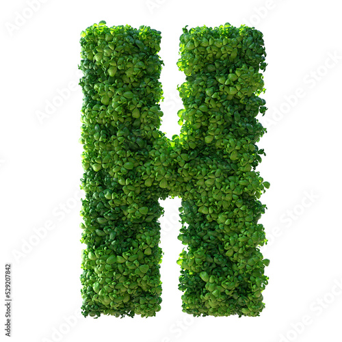 3d alphabet letter H. Green plant, leaves, grass, moss, basil, mint. Isolated on a white background with Clipping Path. 3d illustration.