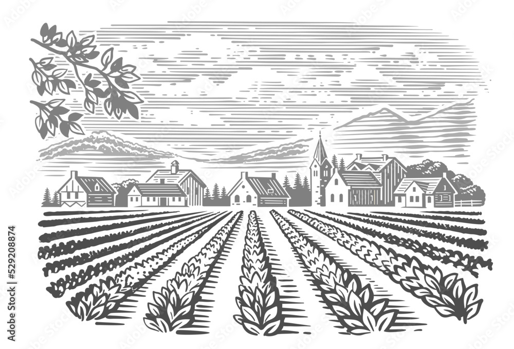 Fototapeta premium Farm sketch. Hand drawn landscape with plant