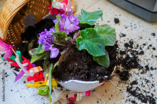 Broken pot with indoor flowers lies on tiled floor. top view. poltergeist