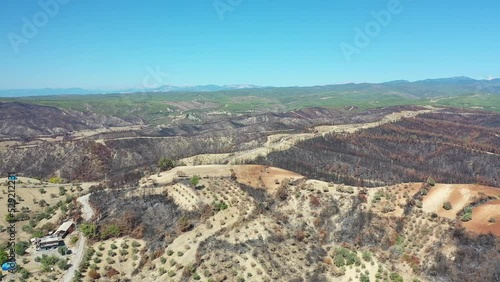 Wallpaper Mural view from the top of the hill Torontodigital.ca