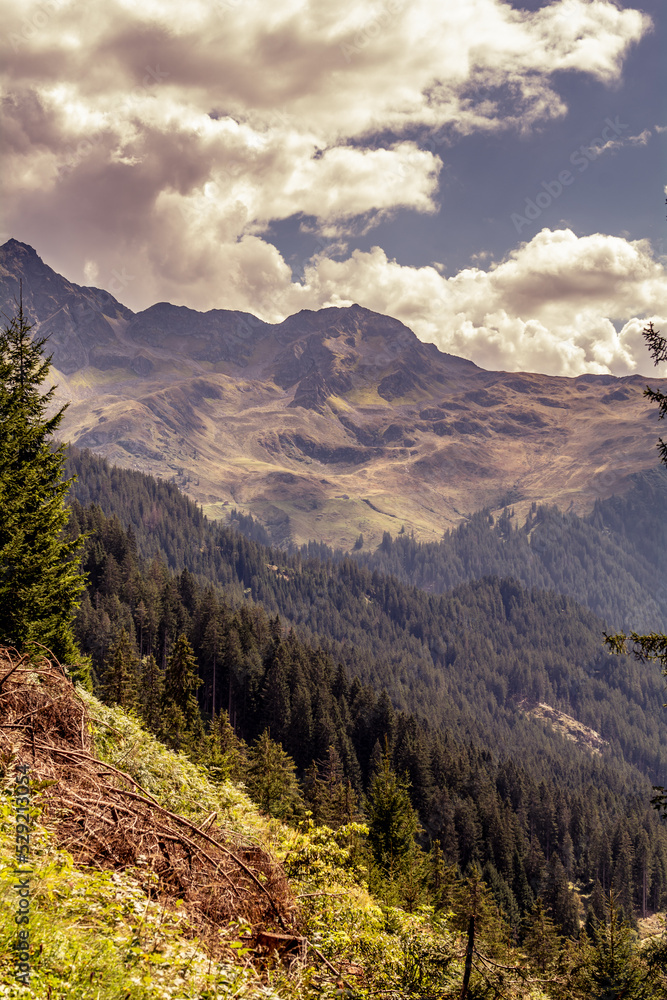 Fototapeta premium Berglandschaft