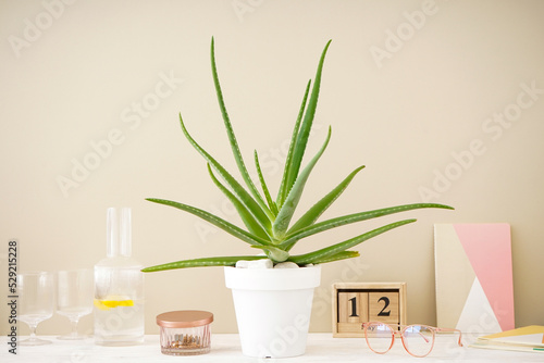 Stylish home interior mockup photo frame. Aloe vera plant and household items.