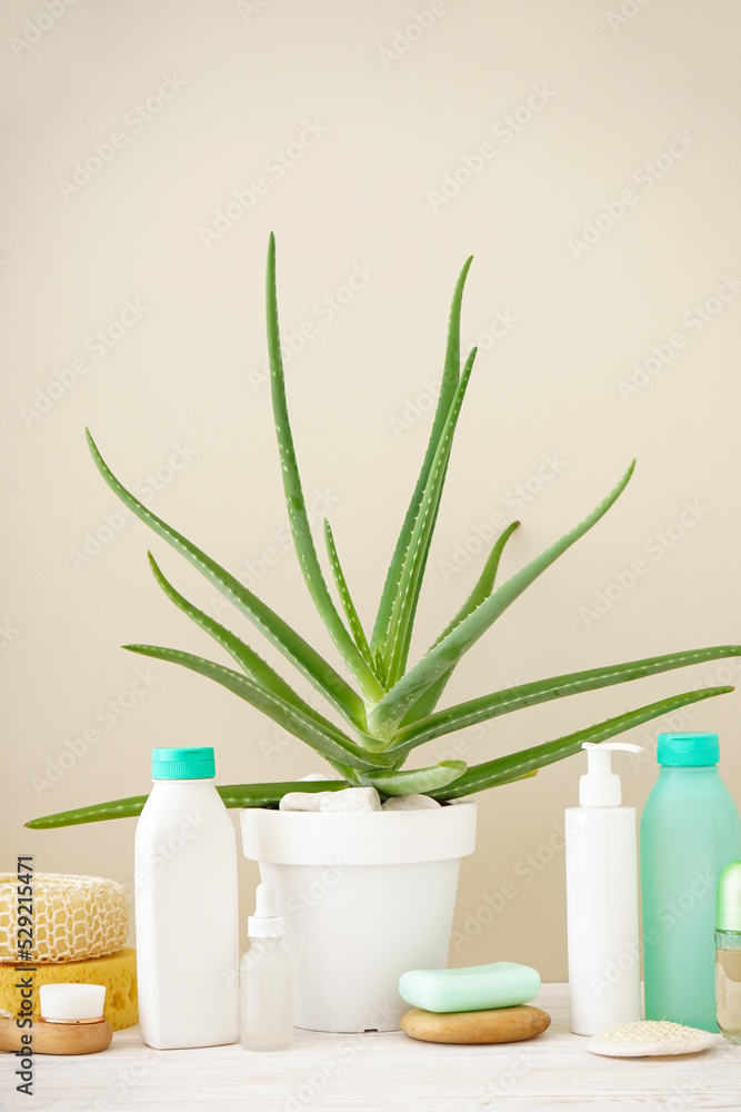 Aloe vera and composition of body care and beauty products on a beige background, vertically. Aloe vera and composition of body care and beauty products on a beige background, vertically.