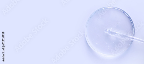 glass pipette serum gel in petri dish on a light background 