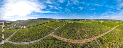 Aerial sunset view of Vineyards in the Champagne wine making region of France during the summer photo