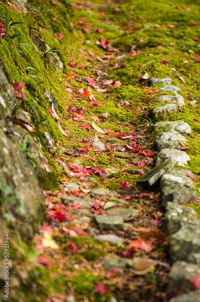 兵庫県三田市光明寺の紅葉