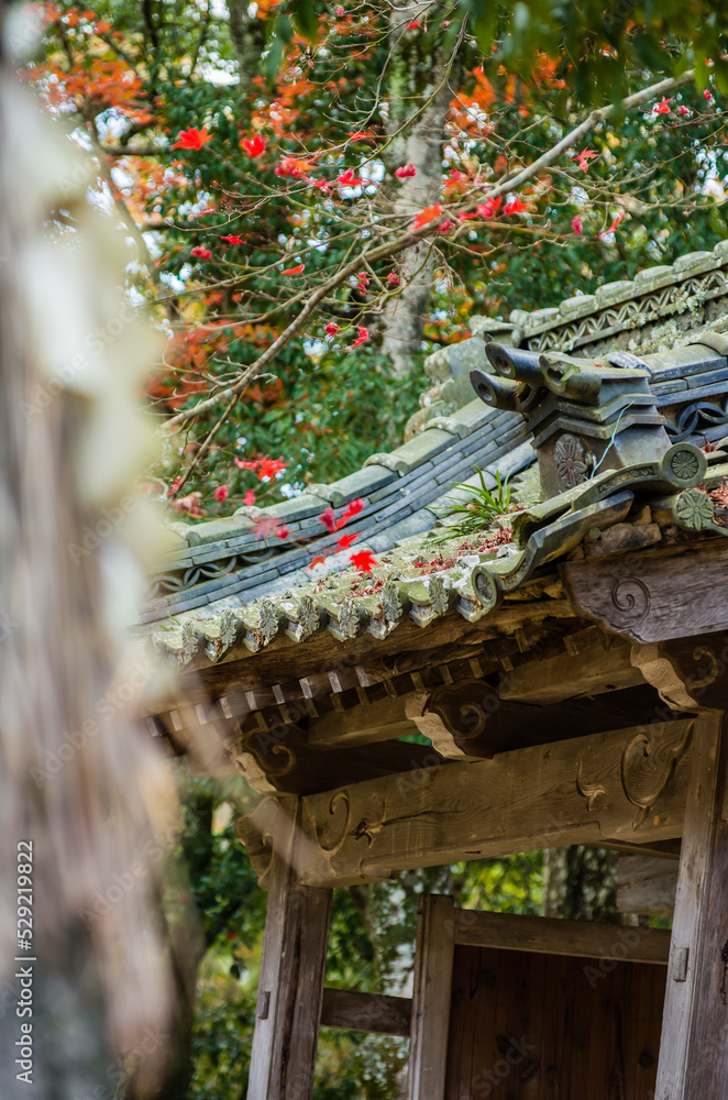 兵庫県三田市光明寺の紅葉