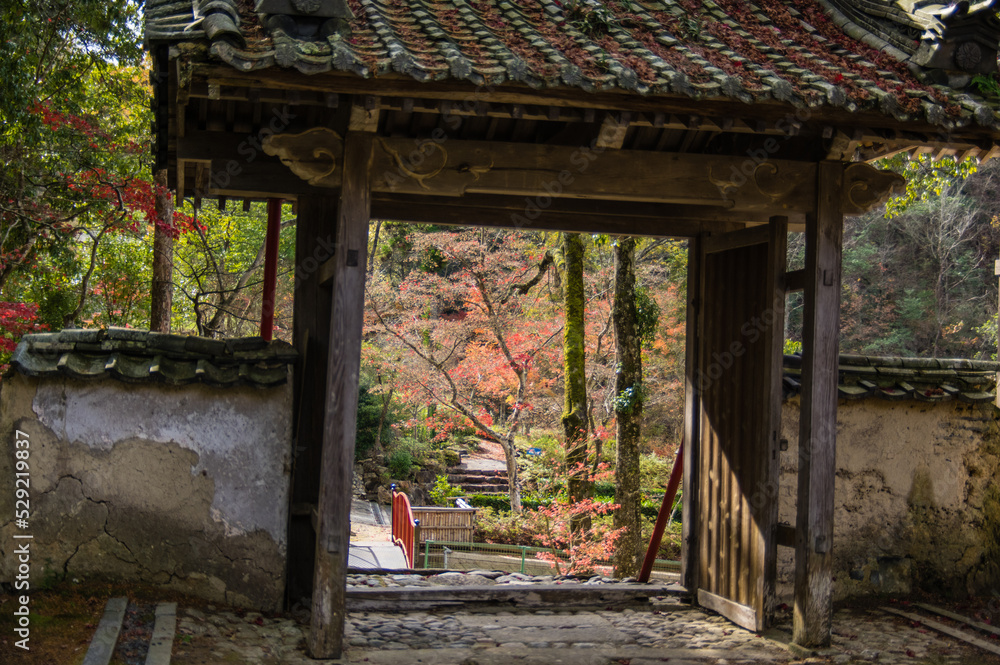 兵庫県三田市光明寺の紅葉