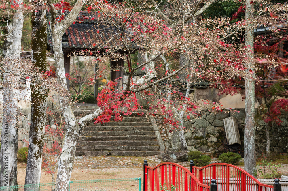 兵庫県三田市光明寺の紅葉