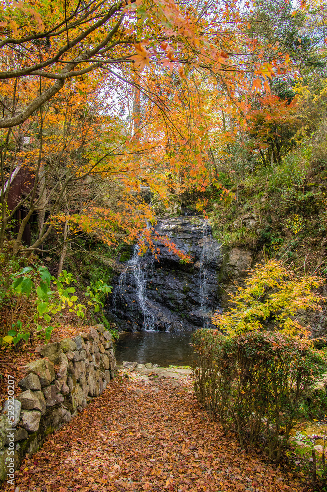 兵庫県三田市光明寺の紅葉