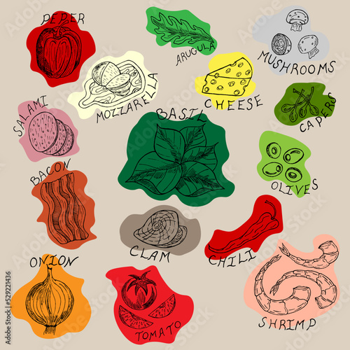 Food ingredients and spices for making pizza. Hand-drawn colorful sketch: mushrooms, tomatoes, seafood, cheese, onions, butter, pepper, salt, basil, olives.
